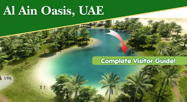 Al Ain Oasis, UAE: Visitor Guide, Timings, Tickets, Location & Things to Do