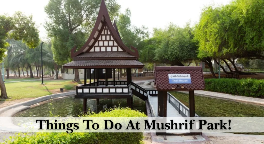 Things To Do At Mushrif Park!
